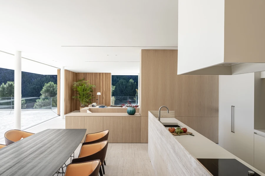 Domum Projects — BN1 House