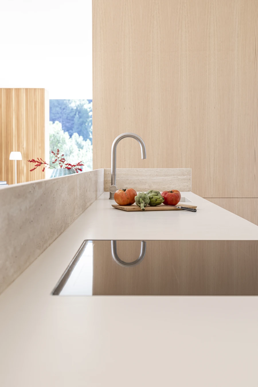 Domum Projects — BN1 House