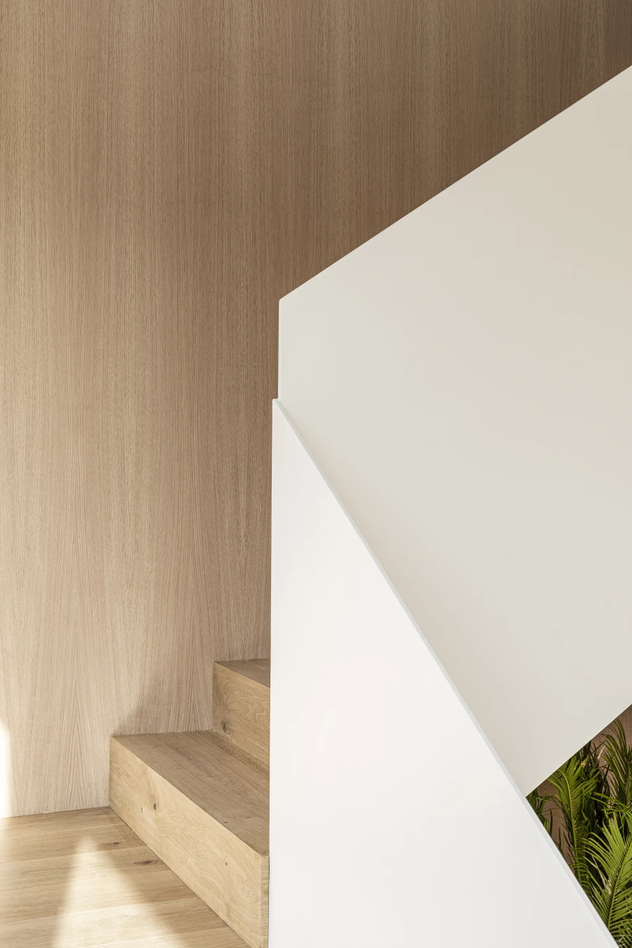 Domum Projects — BN1 House