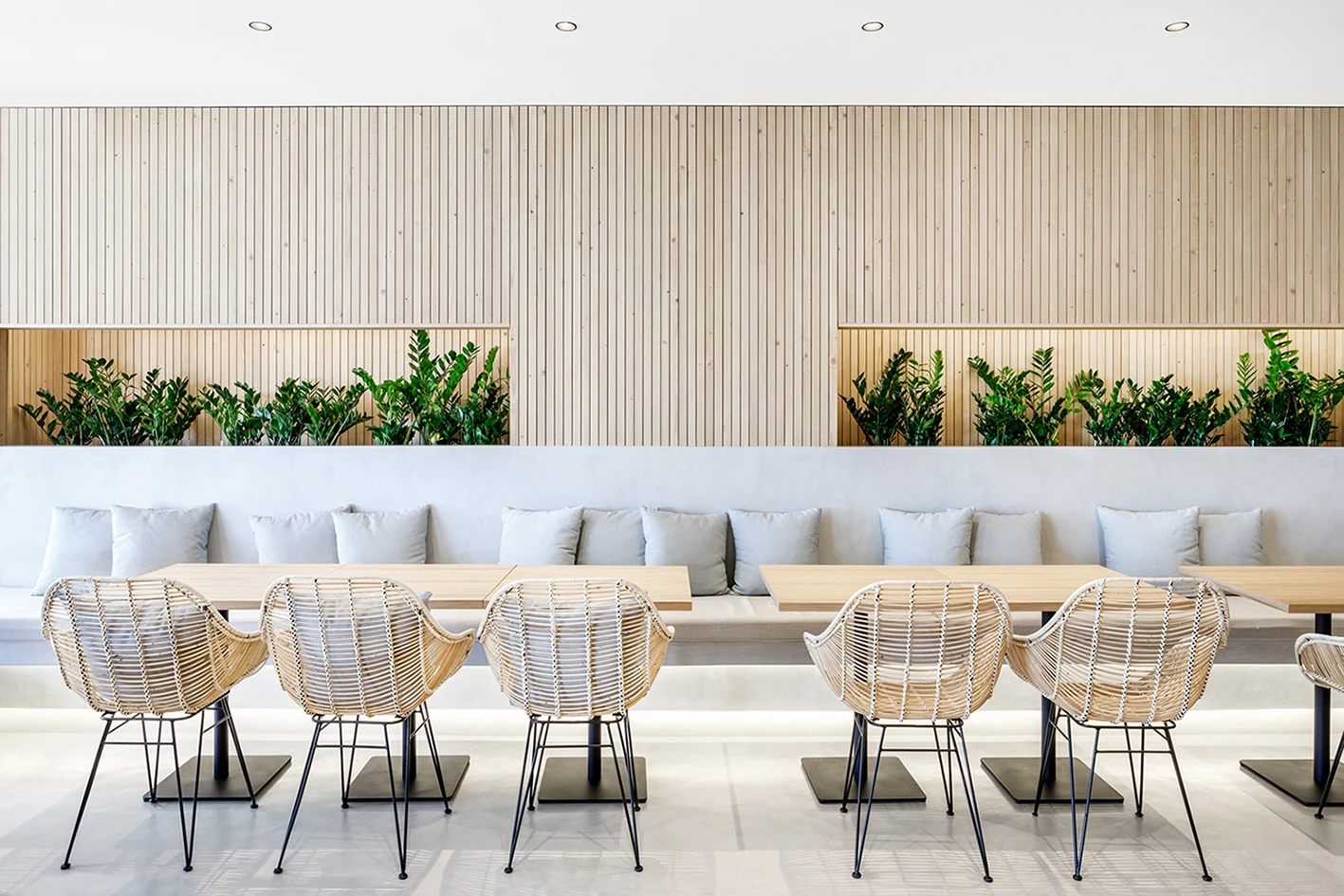 Domum Projects — Sa Lliga Marítim