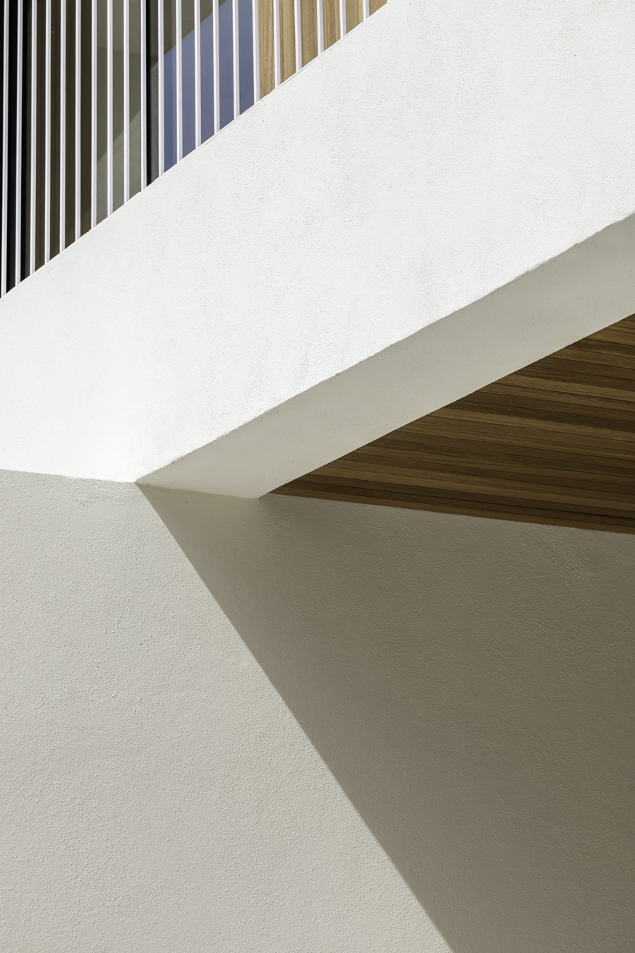 Domum Projects — AS House