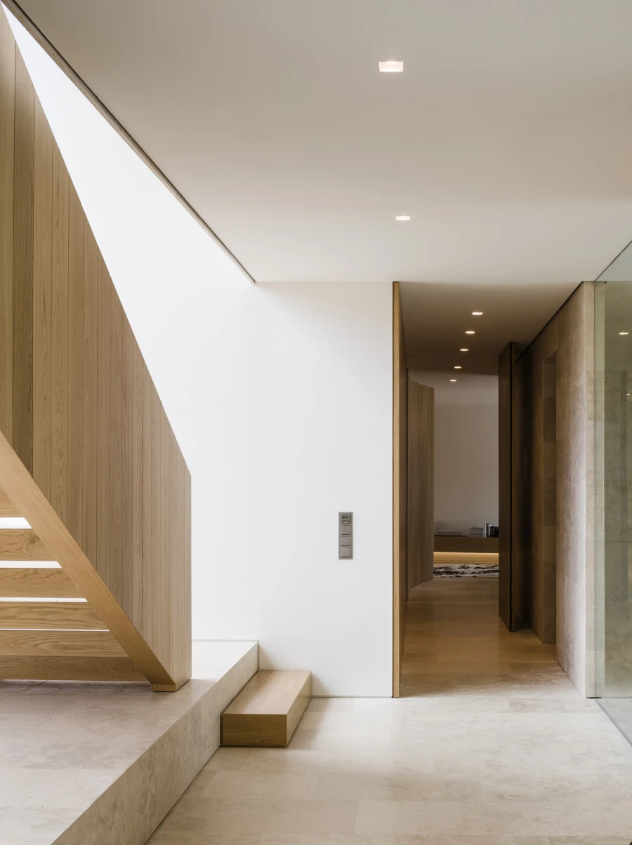 Domum Projects — SV House