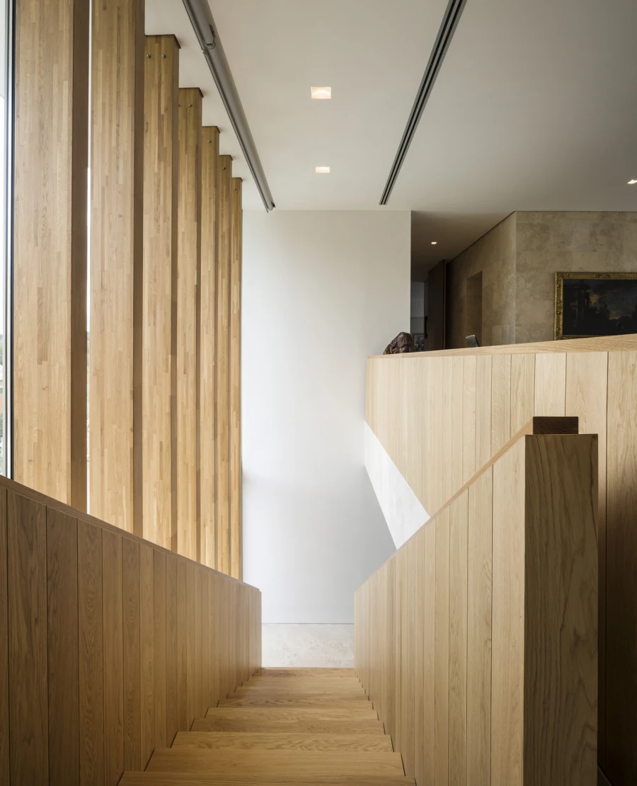 Domum Projects — SV House