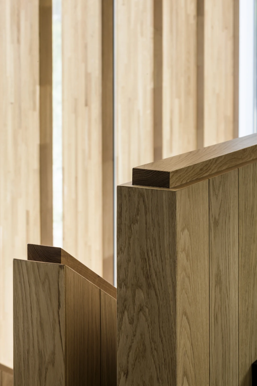 Domum Projects — SV House