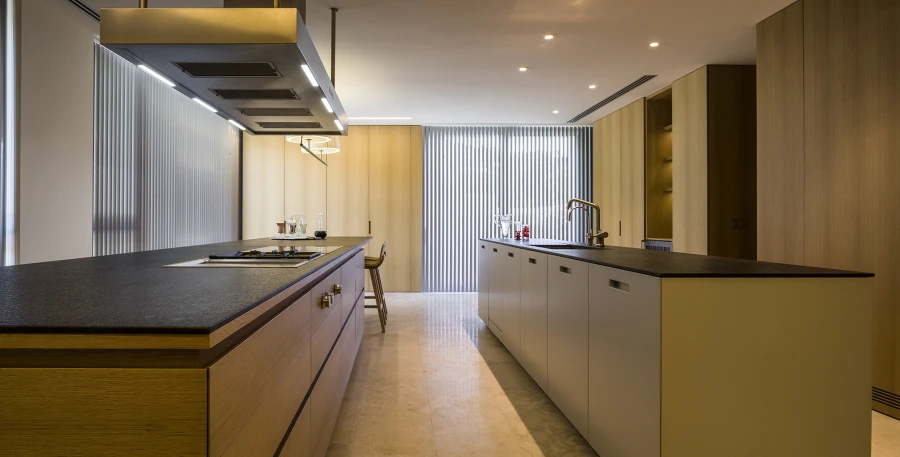 Domum Projects — SV House