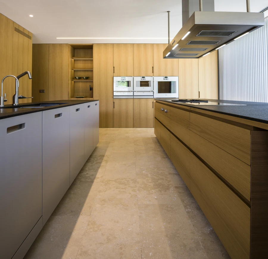Domum Projects — SV House