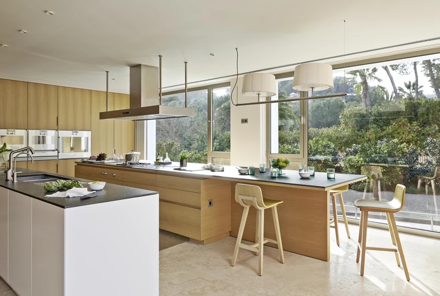 Domum Projects — SV House